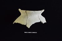 藏品(陶罐)的圖片